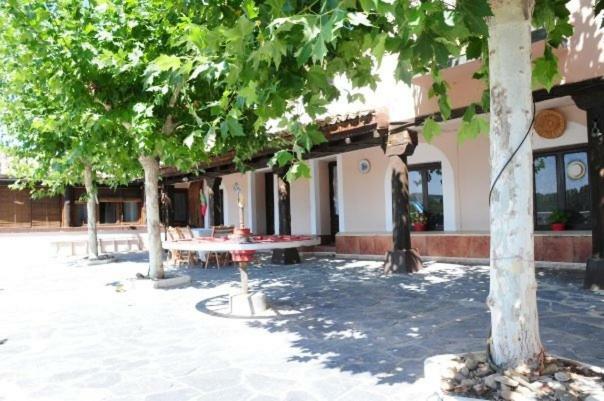 La Huerta Del Rivero San Esteban De Gormaz Extérieur photo